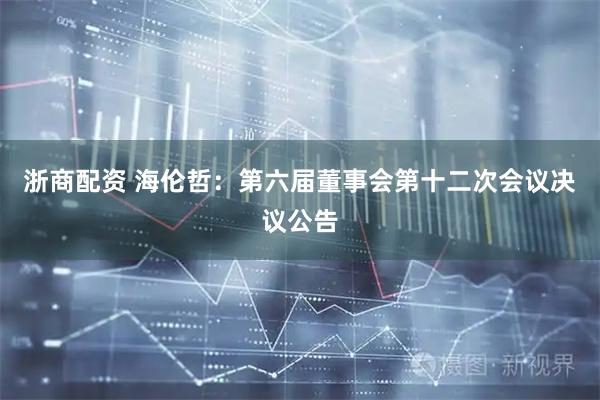 浙商配资 海伦哲：第六届董事会第十二次会议决议公告