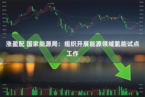 涨盈配 国家能源局：组织开展能源领域氢能试点工作