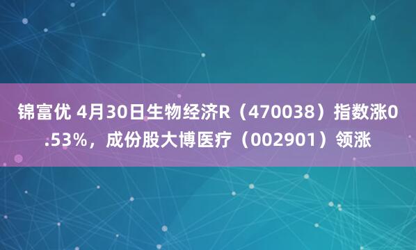锦富优 4月30日生物经济R（470038）指数涨0.53%，成份股大博医疗（002901）领涨