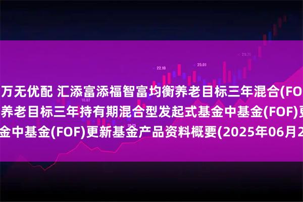 万无优配 汇添富添福智富均衡养老目标三年混合(FOF): 汇添富添福智富均衡养老目标三年持有期混合型发起式基金中基金(FOF)更新基金产品资料概要(2025年06月20日更新)