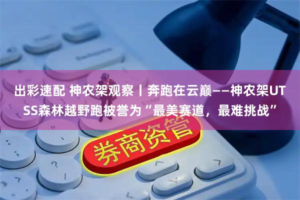 出彩速配 神农架观察丨奔跑在云巅——神农架UTSS森林越野跑被誉为“最美赛道，最难挑战”