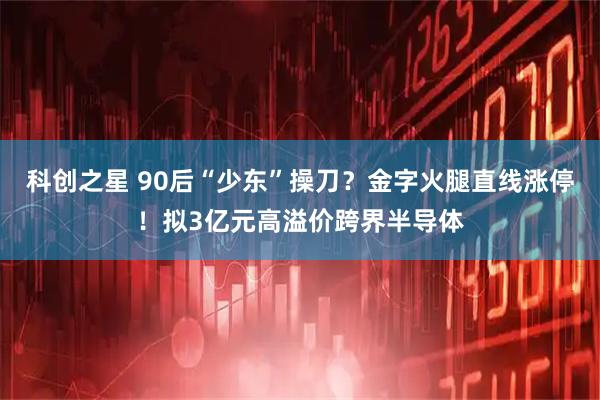 科创之星 90后“少东”操刀？金字火腿直线涨停！拟3亿元高溢价跨界半导体