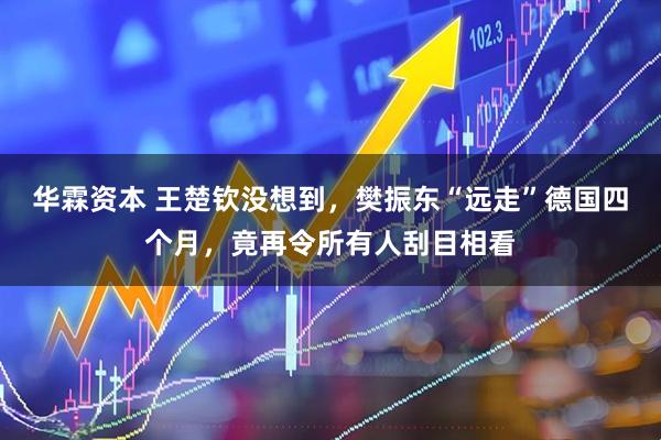 华霖资本 王楚钦没想到，樊振东“远走”德国四个月，竟再令所有人刮目相看