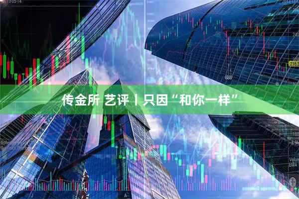 传金所 艺评丨只因“和你一样”