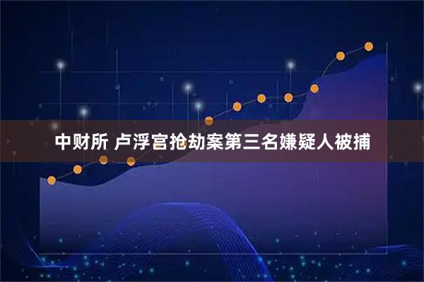 中财所 卢浮宫抢劫案第三名嫌疑人被捕