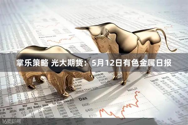 掌乐策略 光大期货：5月12日有色金属日报