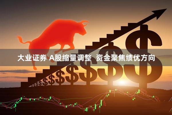 大业证券 A股缩量调整  资金聚焦绩优方向